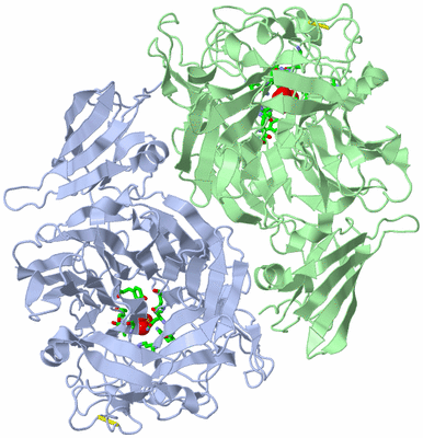 Image Biol. Unit 1 - sites