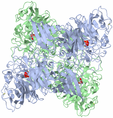 Image Biological Unit 2