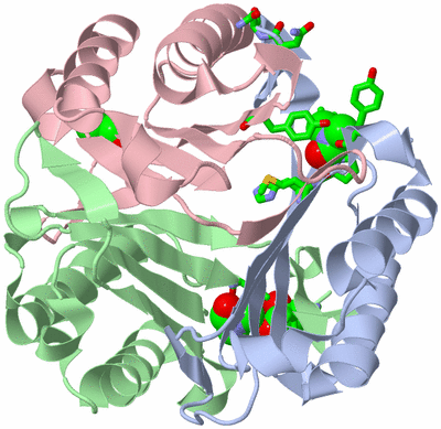 Image Asym./Biol. Unit - sites