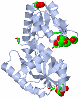 Image Biol. Unit 1 - sites