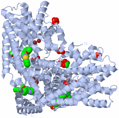 Image Biological Unit 1