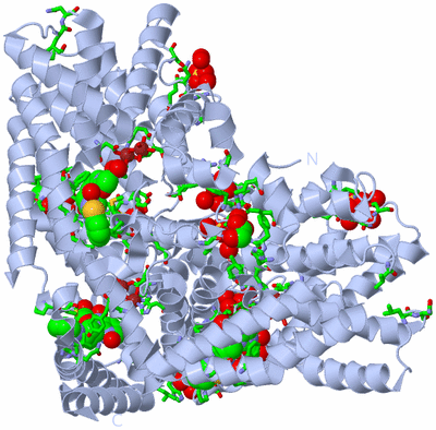 Image Biol. Unit 1 - sites