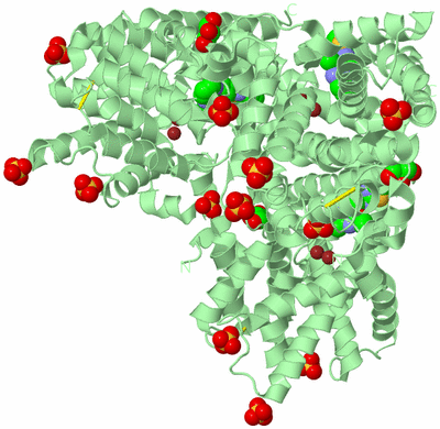 Image Biological Unit 2