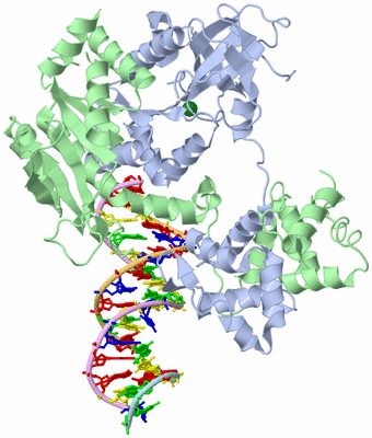 Image Asym./Biol. Unit