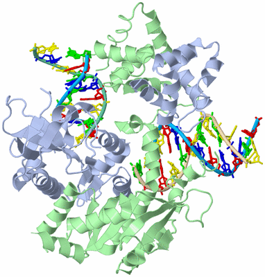 Image Biological Unit 1