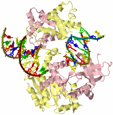 Image Biological Unit 2