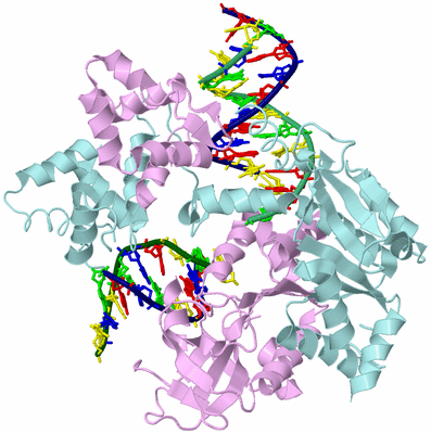 Image Biological Unit 3