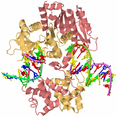 Image Biological Unit 4