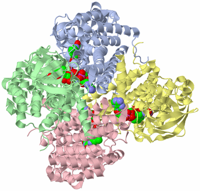 Image Asym./Biol. Unit