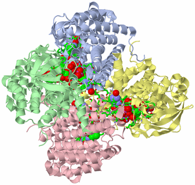 Image Asym./Biol. Unit - sites