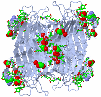 Image Biol. Unit 1 - sites