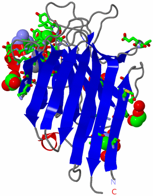 Image Asym. Unit - sites