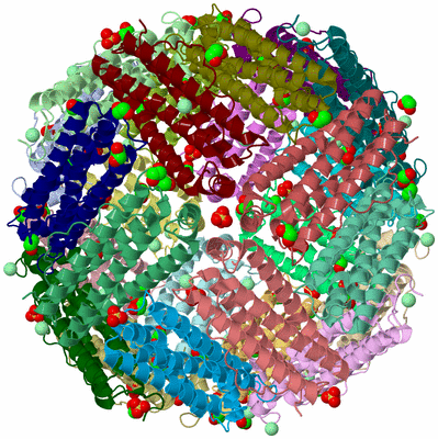 Image Asym./Biol. Unit