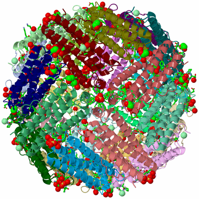 Image Asym./Biol. Unit - sites