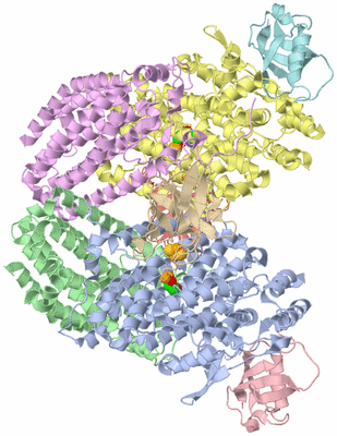 Image Asym./Biol. Unit