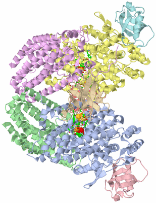 Image Asym./Biol. Unit - sites