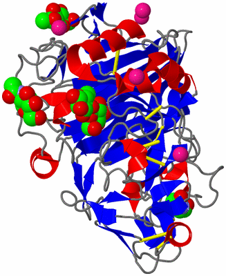 Image Asym./Biol. Unit