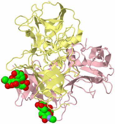 Image Biological Unit 2