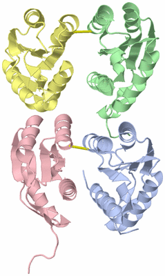 Image Asymmetric Unit