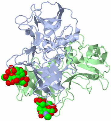 Image Biological Unit 1