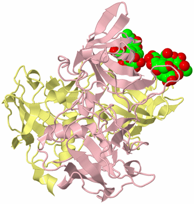 Image Biological Unit 2