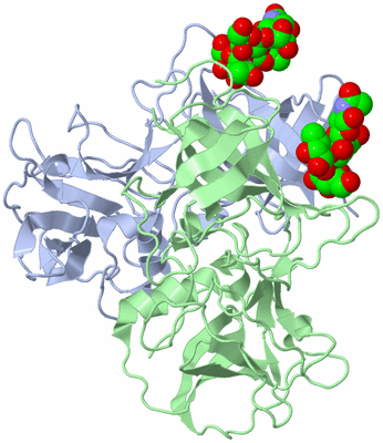 Image Biological Unit 1