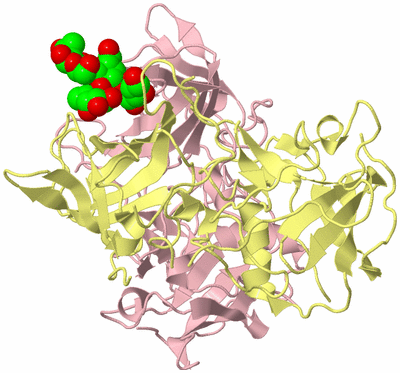 Image Biological Unit 2