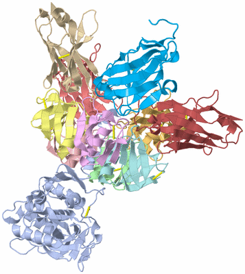 Image Asym./Biol. Unit