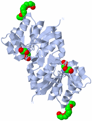 Image Biological Unit 1