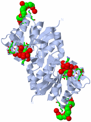 Image Biol. Unit 1 - sites