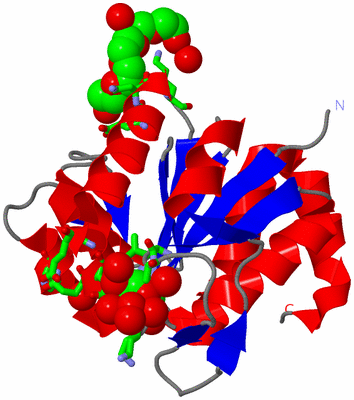 Image Asym. Unit - sites