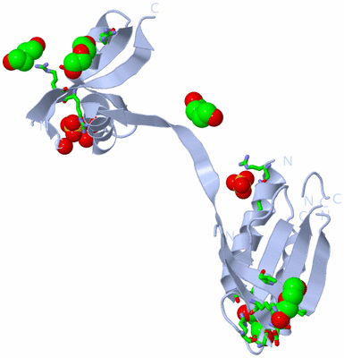 Image Biol. Unit 1 - sites