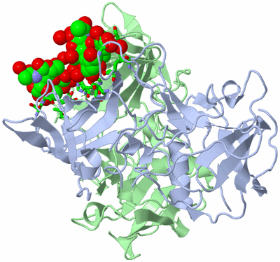 Image Biol. Unit 1 - sites