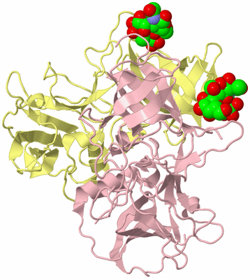 Image Biological Unit 2