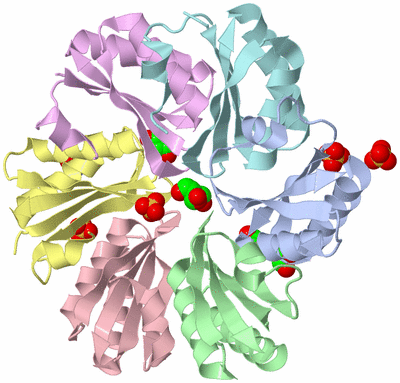 Image Biological Unit 1