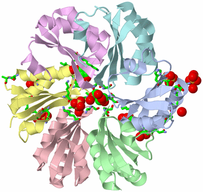 Image Biol. Unit 1 - sites