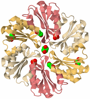 Image Biological Unit 2