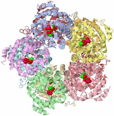 Image Asym./Biol. Unit