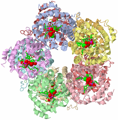 Image Asym./Biol. Unit - sites