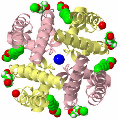 Image Biological Unit 2