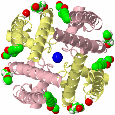 Image Biological Unit 2