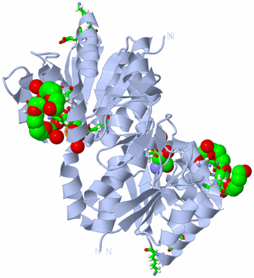 Image Biol. Unit 1 - sites