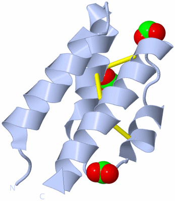 Image Biological Unit 1