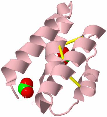 Image Biological Unit 3