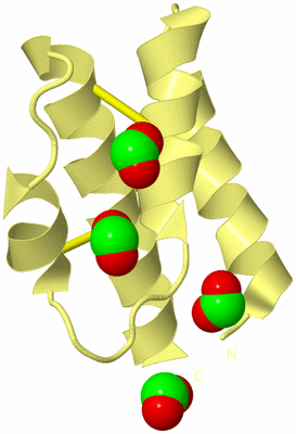 Image Biological Unit 4