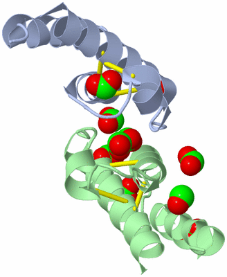 Image Biological Unit 5