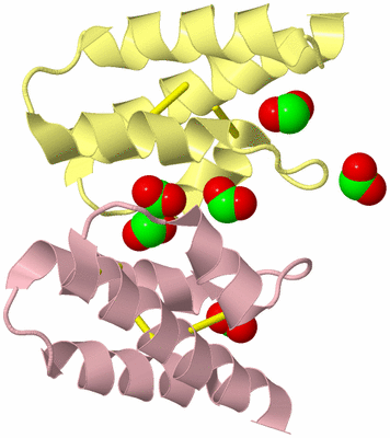 Image Biological Unit 6