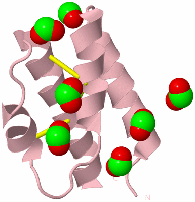 Image Biological Unit 3