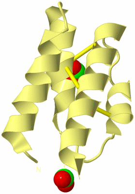 Image Biological Unit 4