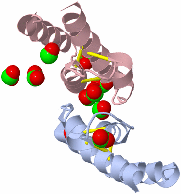 Image Biological Unit 5